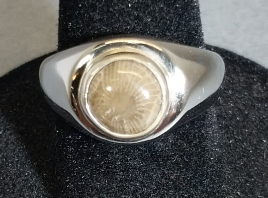 Men's Petoskey Stone Ring Size 8, Silver and Stainless Steel, Michigan Petoskey Stone, W228, W/O