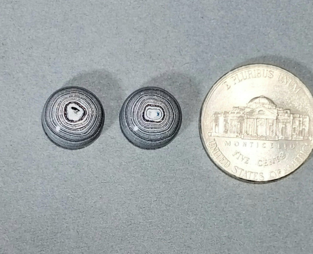 Fordite Cabochon Set Michigan Fordite Pair, SMALL Cabochons EB72