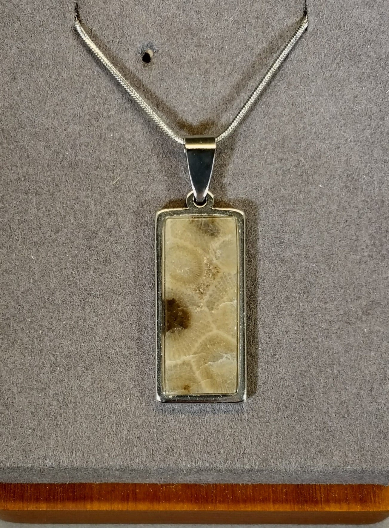 Petoskey Stone Necklace, with Stainless Steel Chain, Michigan Petoskey Stone W/O W226