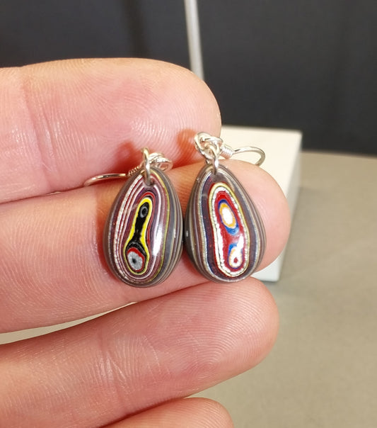Fordite Earrings, Domed Teardrops, Sterling Silver