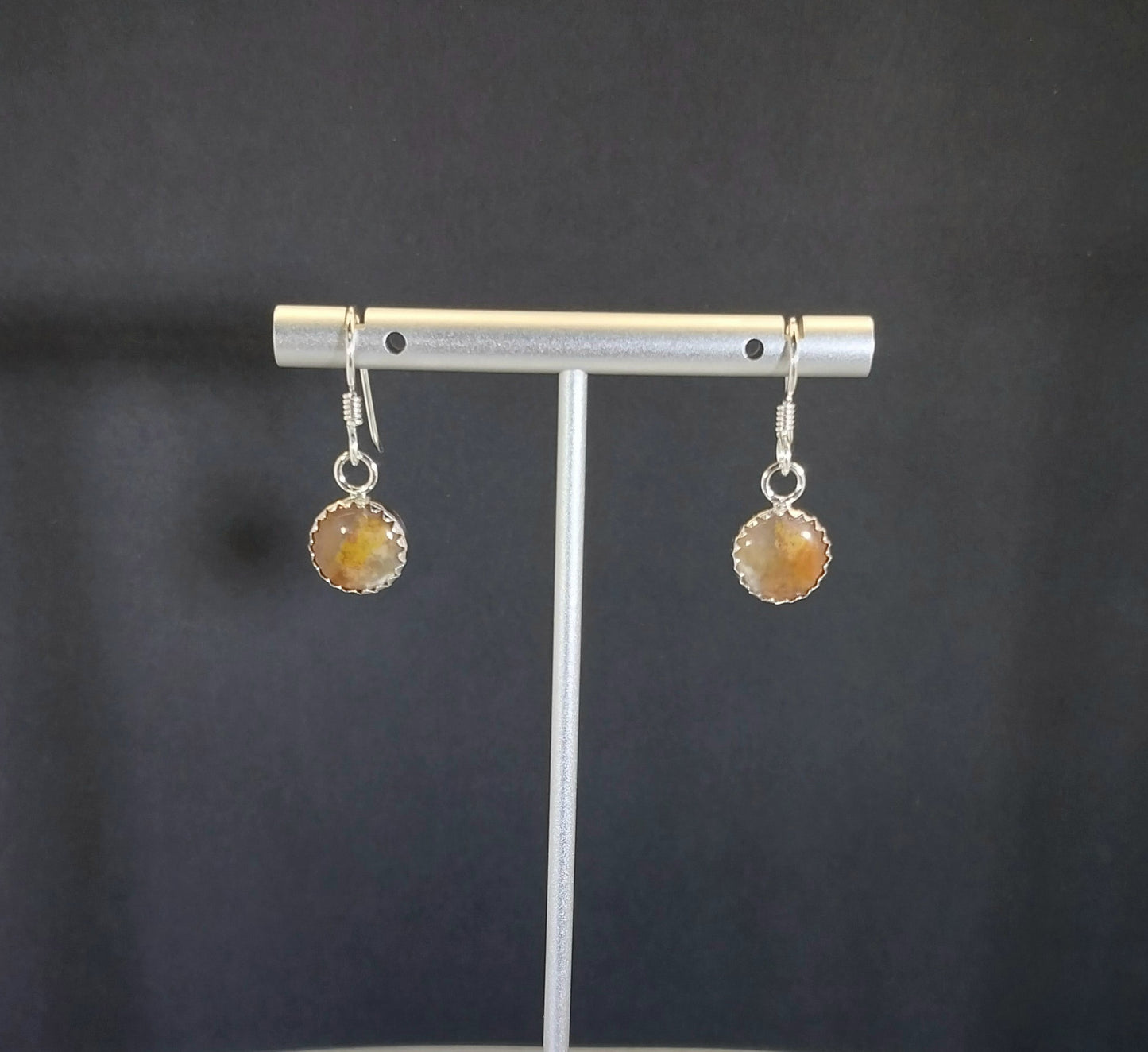 Coprolite Earrings, Solid Silver, USA Artist, Poop Agate, Fossil Poop, Great Gift Idea, Natural Stone