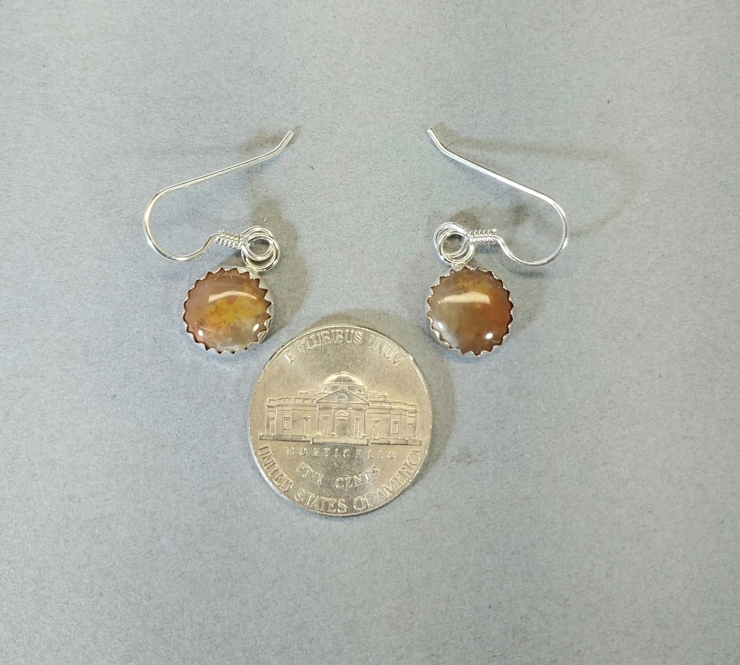 Coprolite Earrings, Solid Silver, USA Artist, Poop Agate, Fossil Poop, Great Gift Idea, Natural Stone