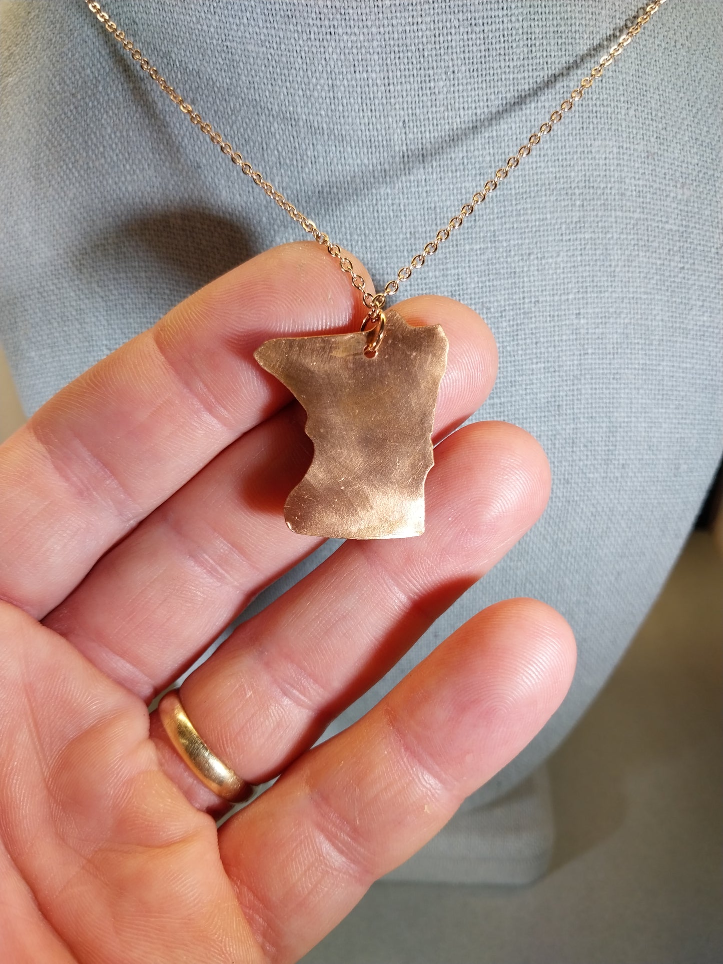 Minnesota Lake Superior Agate Necklace, Copper With Stainless Steel Chain, ET93