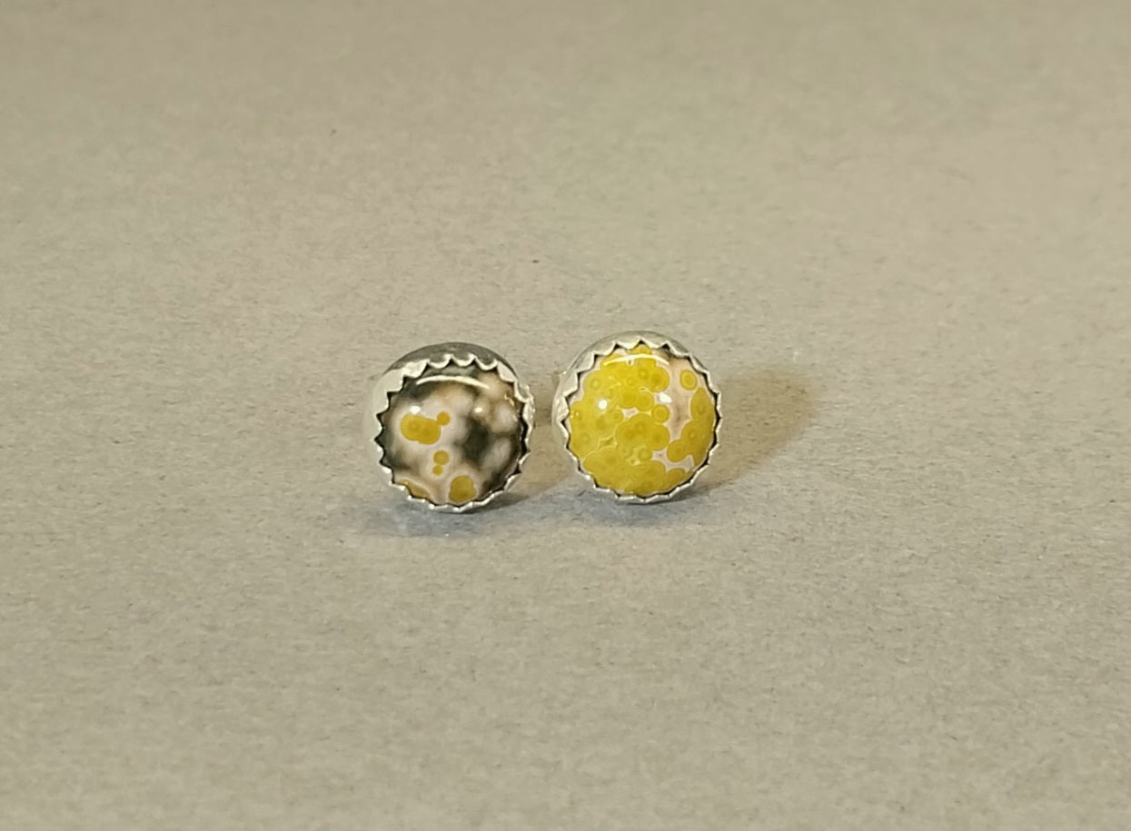 Ocean Jasper Stud Earrings in Solid Sterling Silver