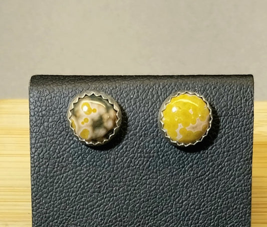 Ocean Jasper Stud Earrings in Solid Sterling Silver