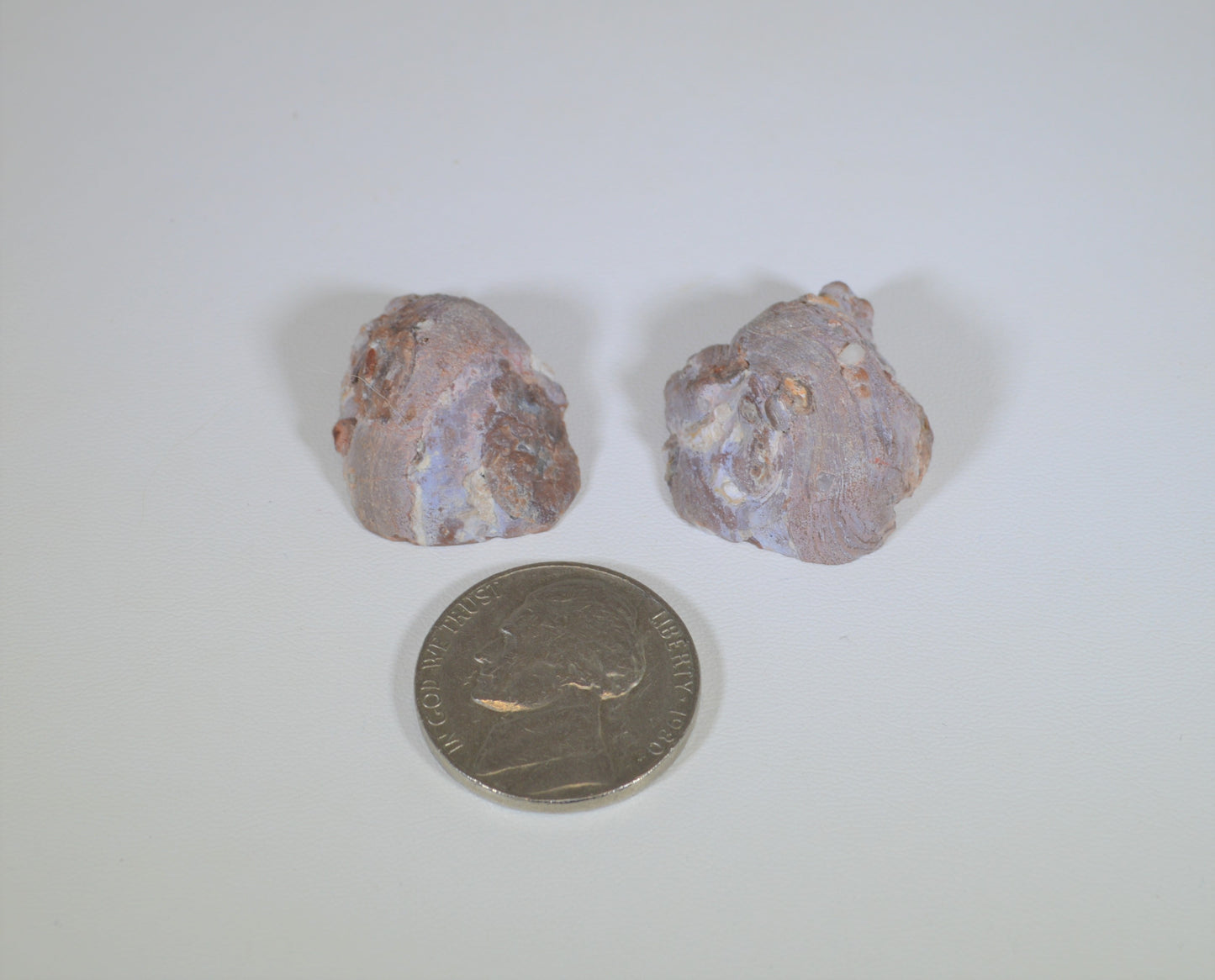 Baker Ranch Agate Geode, SMALL Polished Pair, New Mexico Agate Geode, Egg Agate, Polished Baker Rance Agate