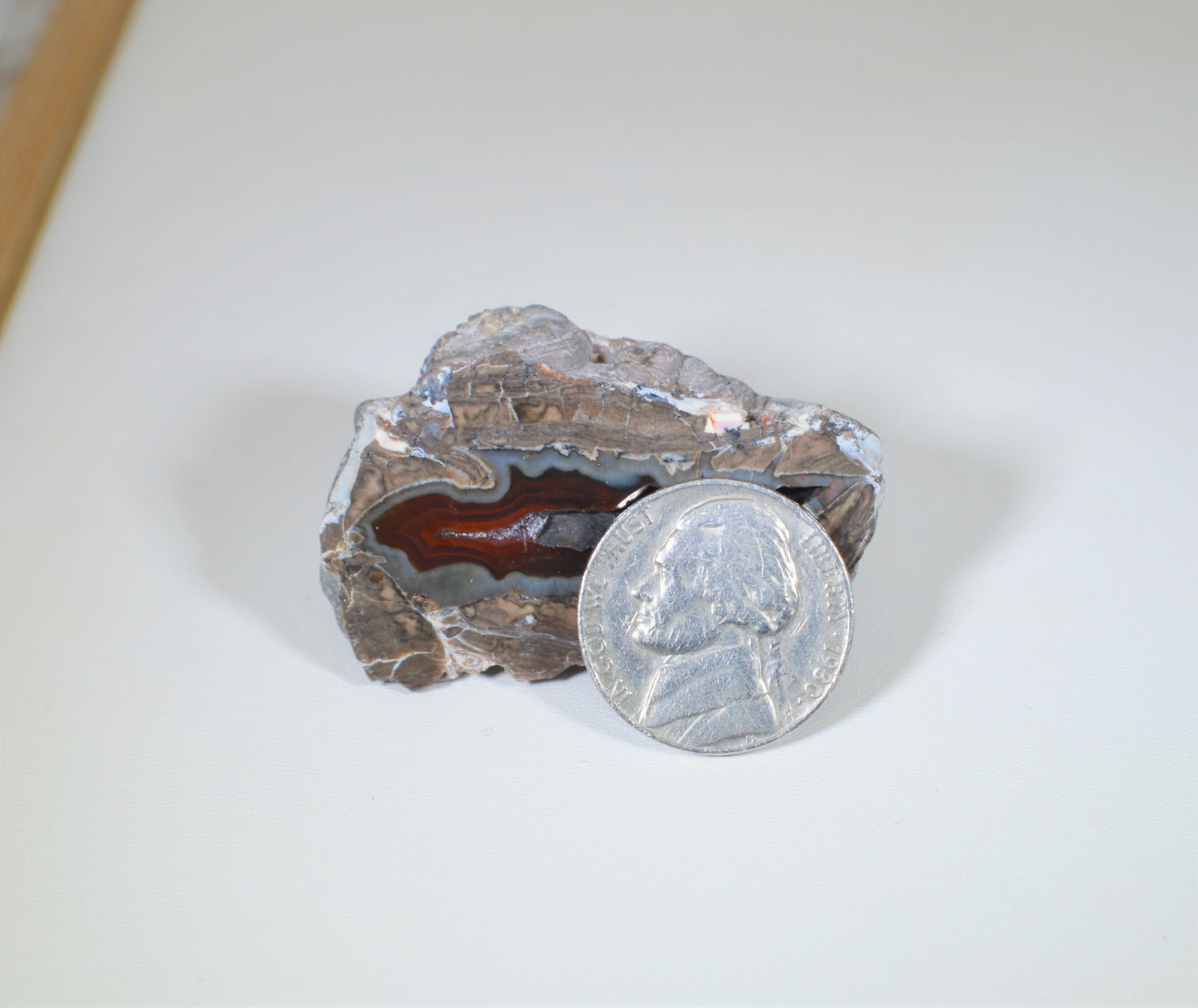 Baker Ranch Agate Geode, New Mexico Agate Geode, Egg Agate, Polished Baker Rance Agate