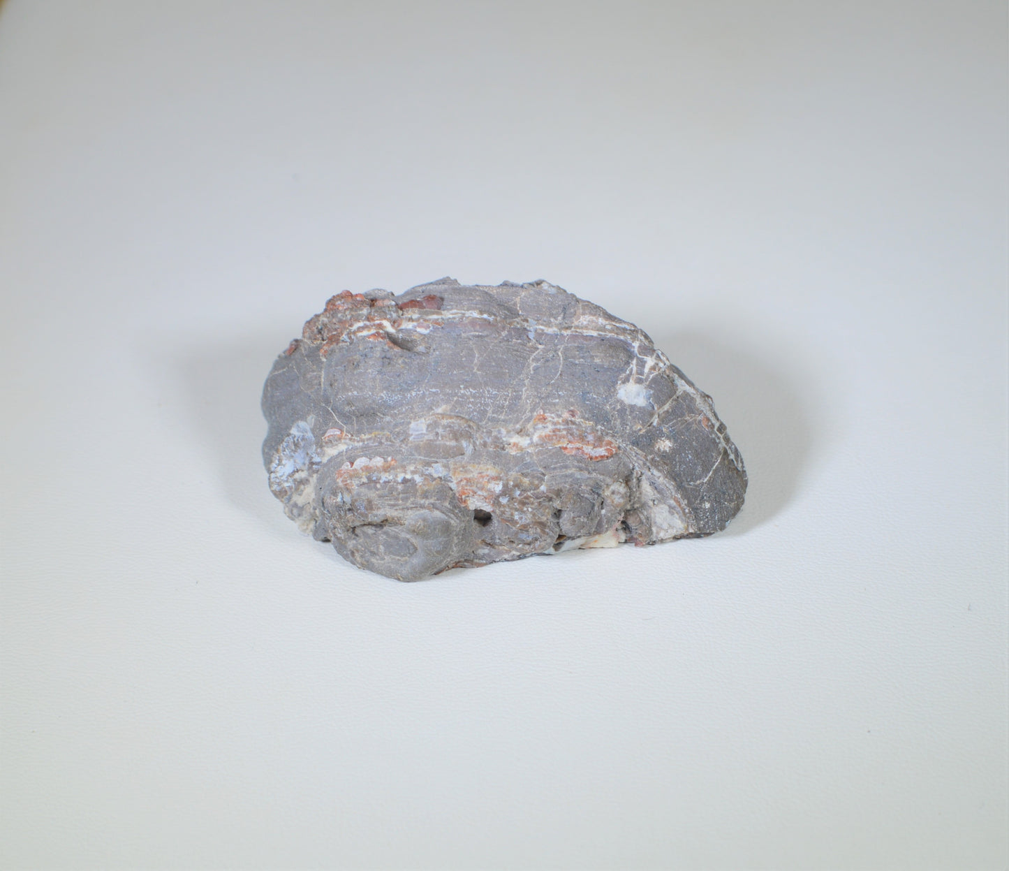 Baker Ranch Agate Geode, New Mexico Agate Geode, Egg Agate, Polished Baker Rance Agate