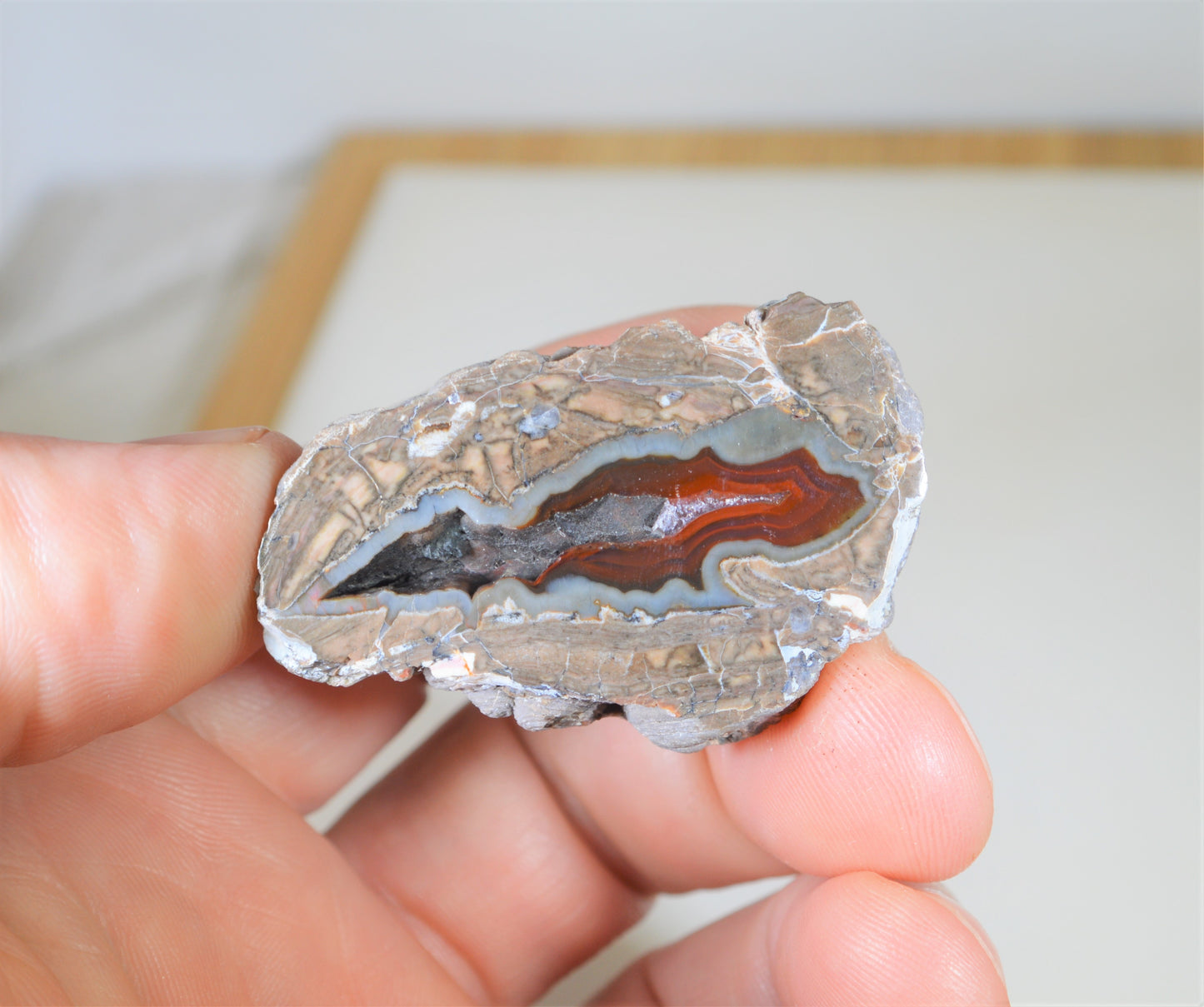 Baker Ranch Agate Geode, New Mexico Agate Geode, Egg Agate, Polished Baker Rance Agate