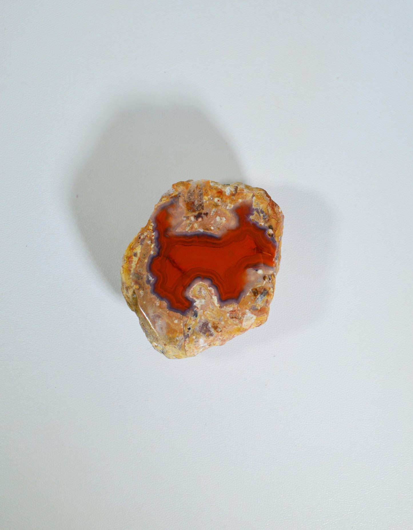 Red Hot Agate, Berrando Red Agate, Puppy - lOOk for it - Polished Thunder Egg
