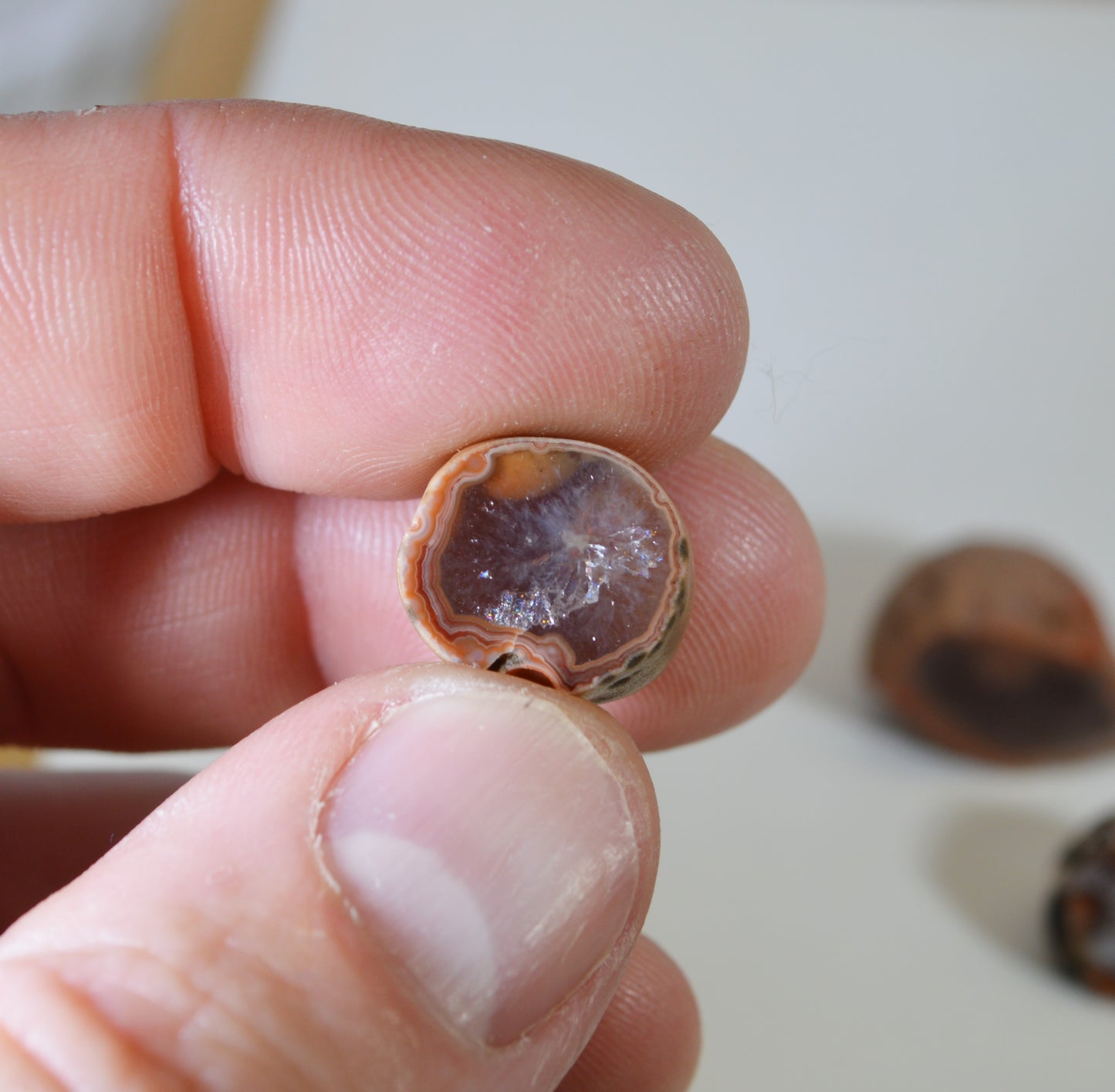 Lake Superior Agate Geodes, Polished Lake Superior Agates From Paradise Beach MN