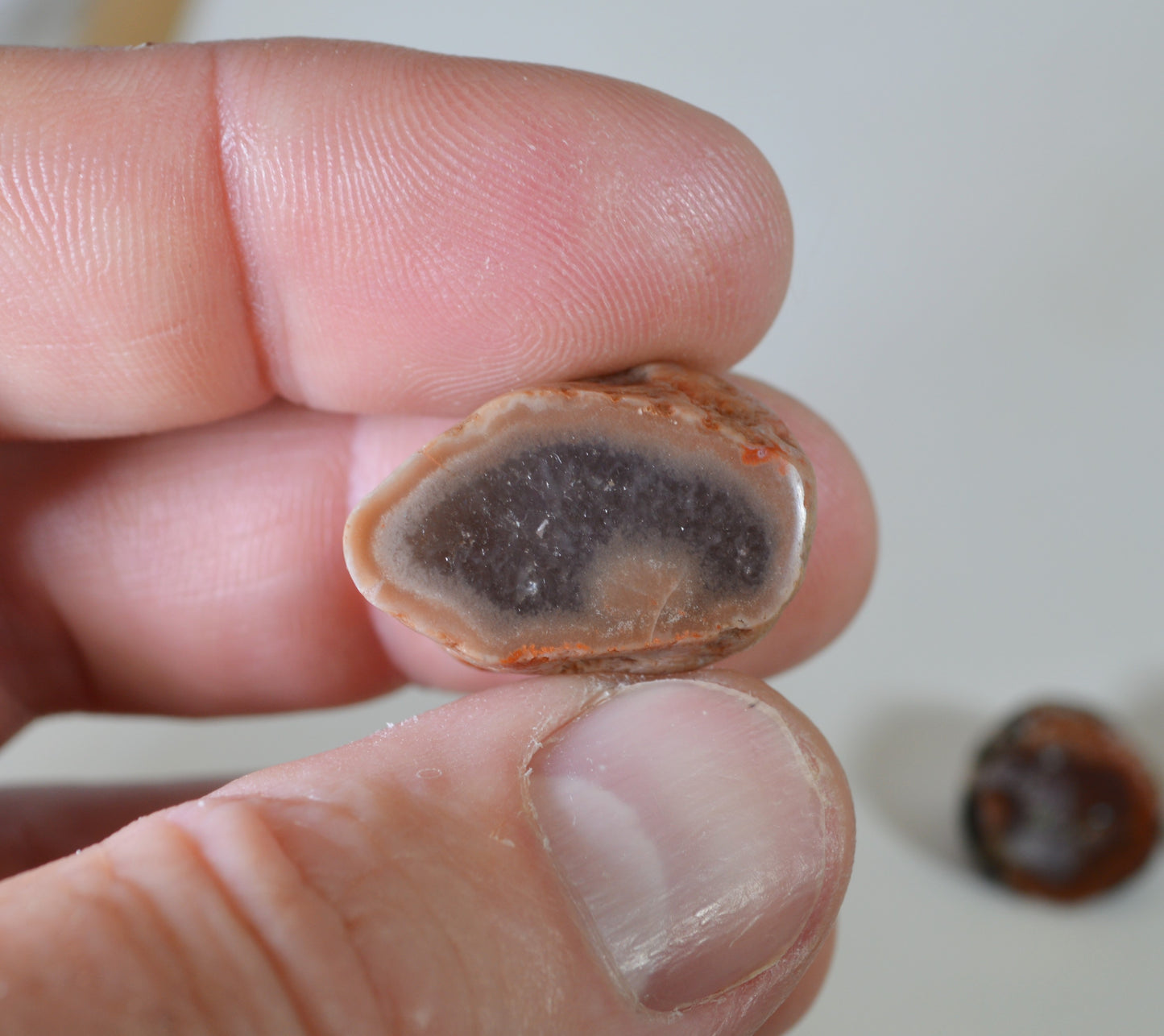 Lake Superior Agate Geodes, Polished Lake Superior Agates From Paradise Beach MN