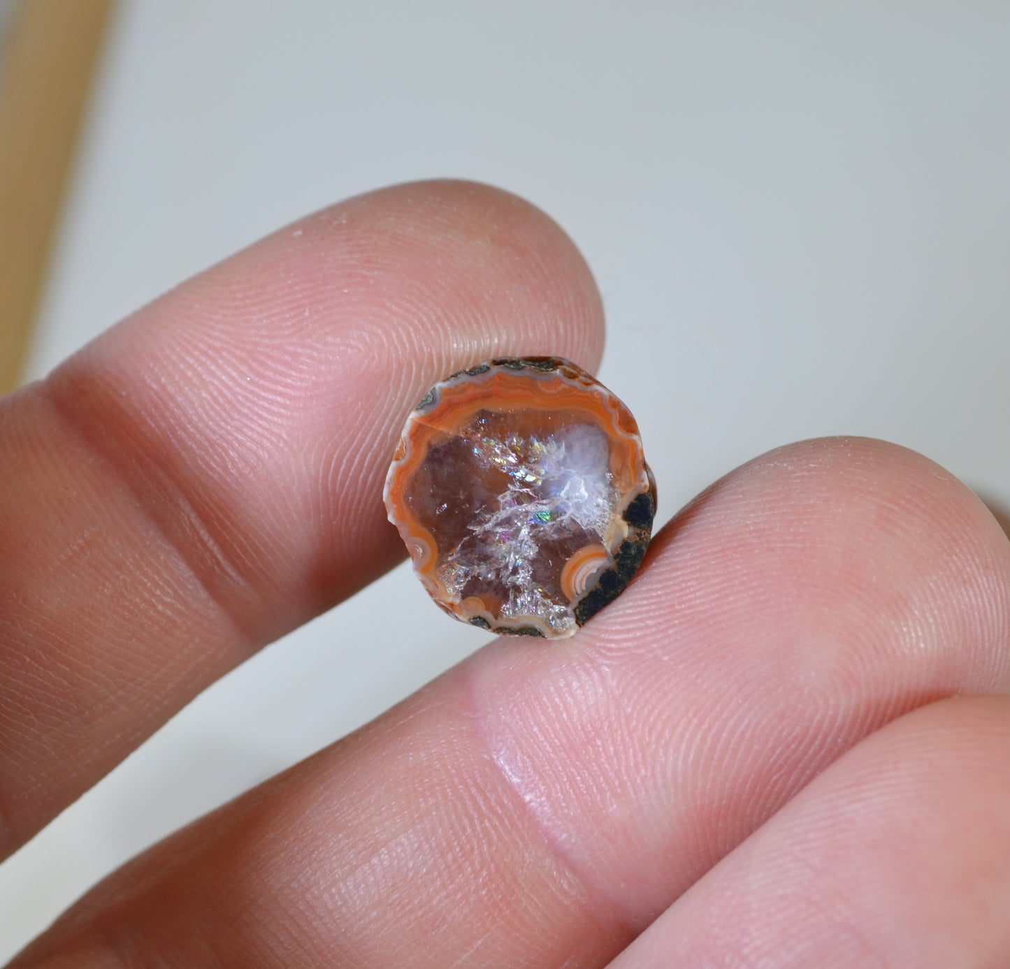 Lake Superior Agate Geodes, Polished Lake Superior Agates From Paradise Beach MN
