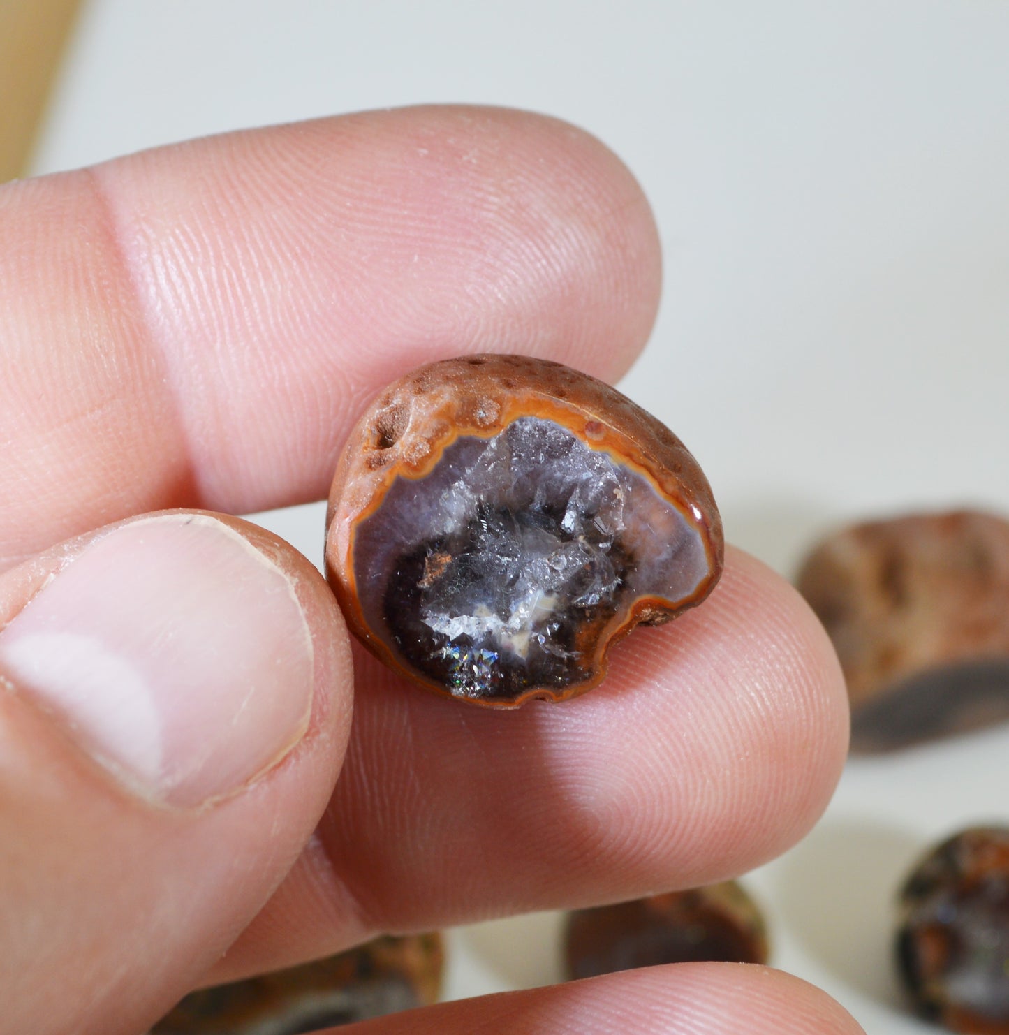 Lake Superior Agate Geodes, Polished Lake Superior Agates From Paradise Beach MN