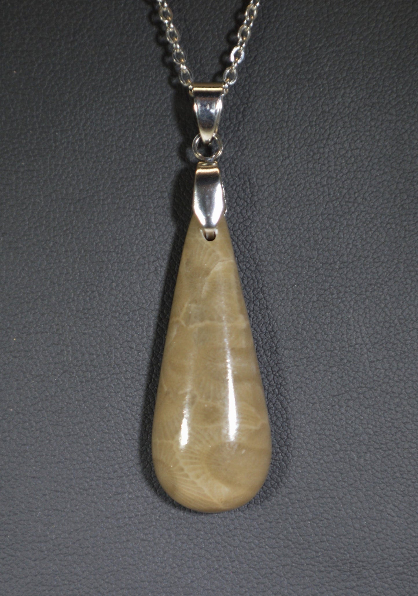 Petoskey Stone Necklace, Petoskey Necklace, Michigan Petoskey Stone, Michigan Jewelry, Michigan State Stone, Michigan Gift, W/O