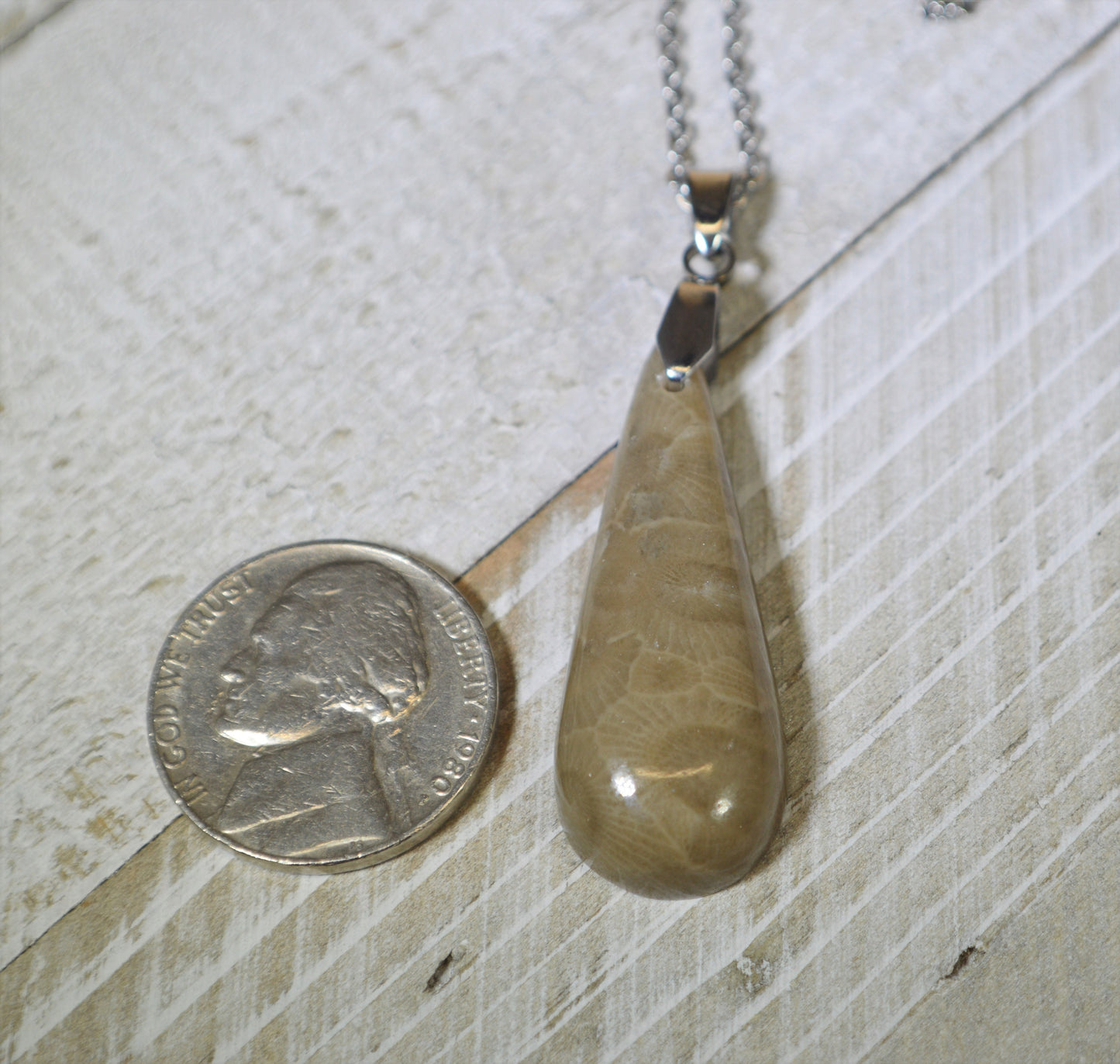 Petoskey Stone Necklace, Petoskey Necklace, Michigan Petoskey Stone, Michigan Jewelry, Michigan State Stone, Michigan Gift, W/O