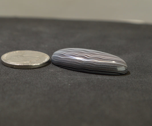 Large Michigan Fordite Cabochon, Illusion Folds, Domed Oval EB122