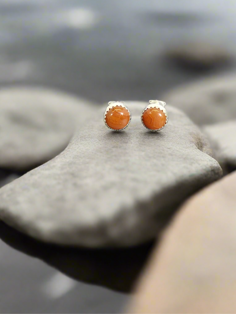 Lake Superior Agate Earrings in Sterling Silver