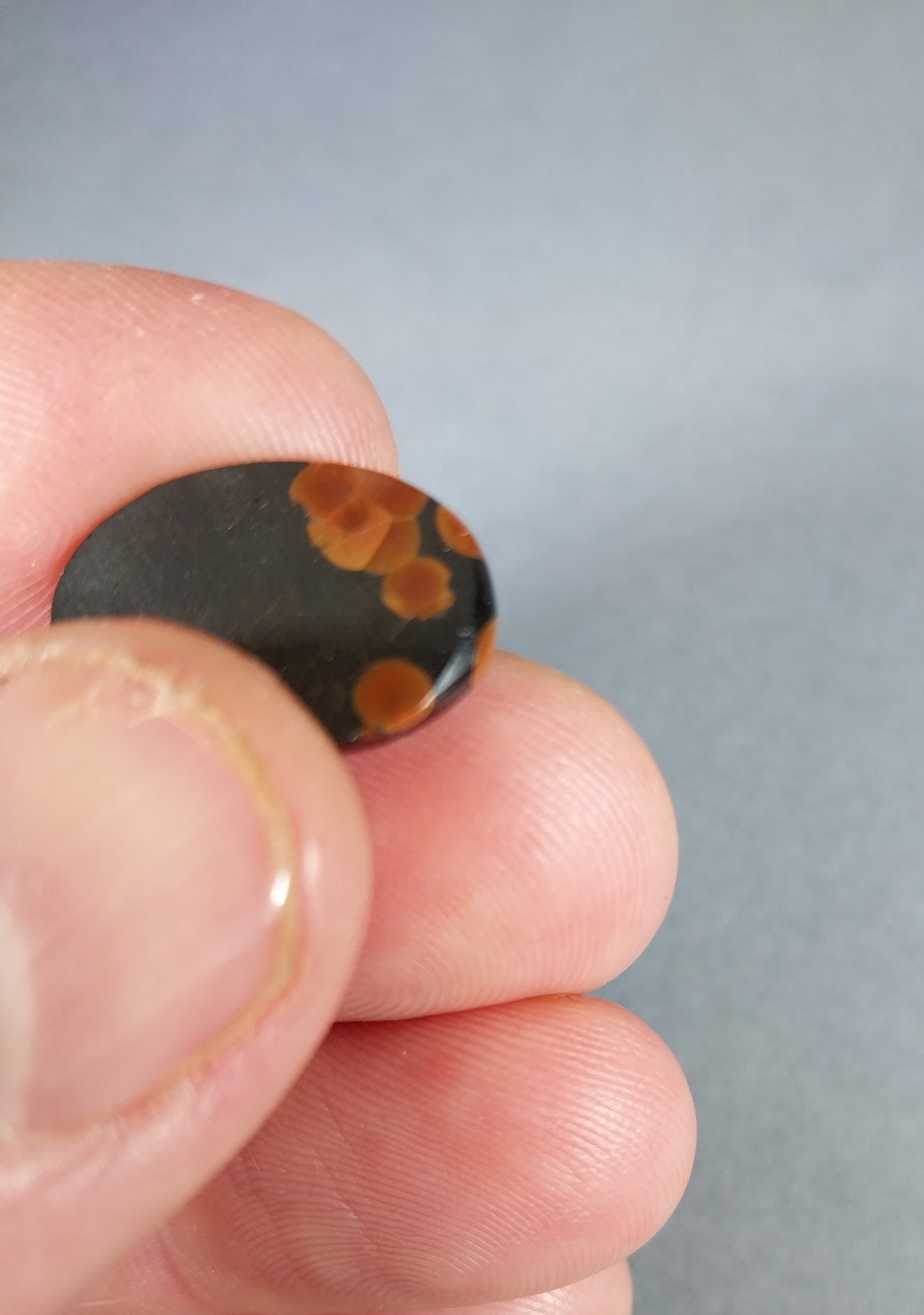 Peanut Obsidian Cabochon, Domed Oval, Obsidian Cab, Metalsmithing Stone