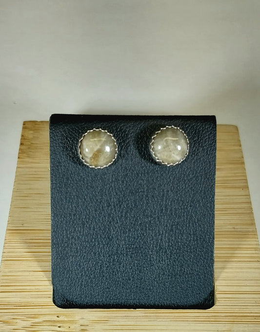 Petoskey Stone Earrings, Petoskey Studs