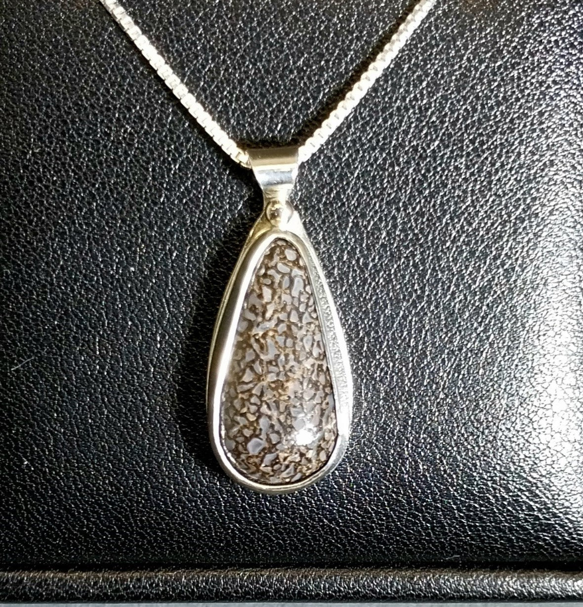 Dinosaur Gem Bone Necklace a Natural Fossil Agate From Utah