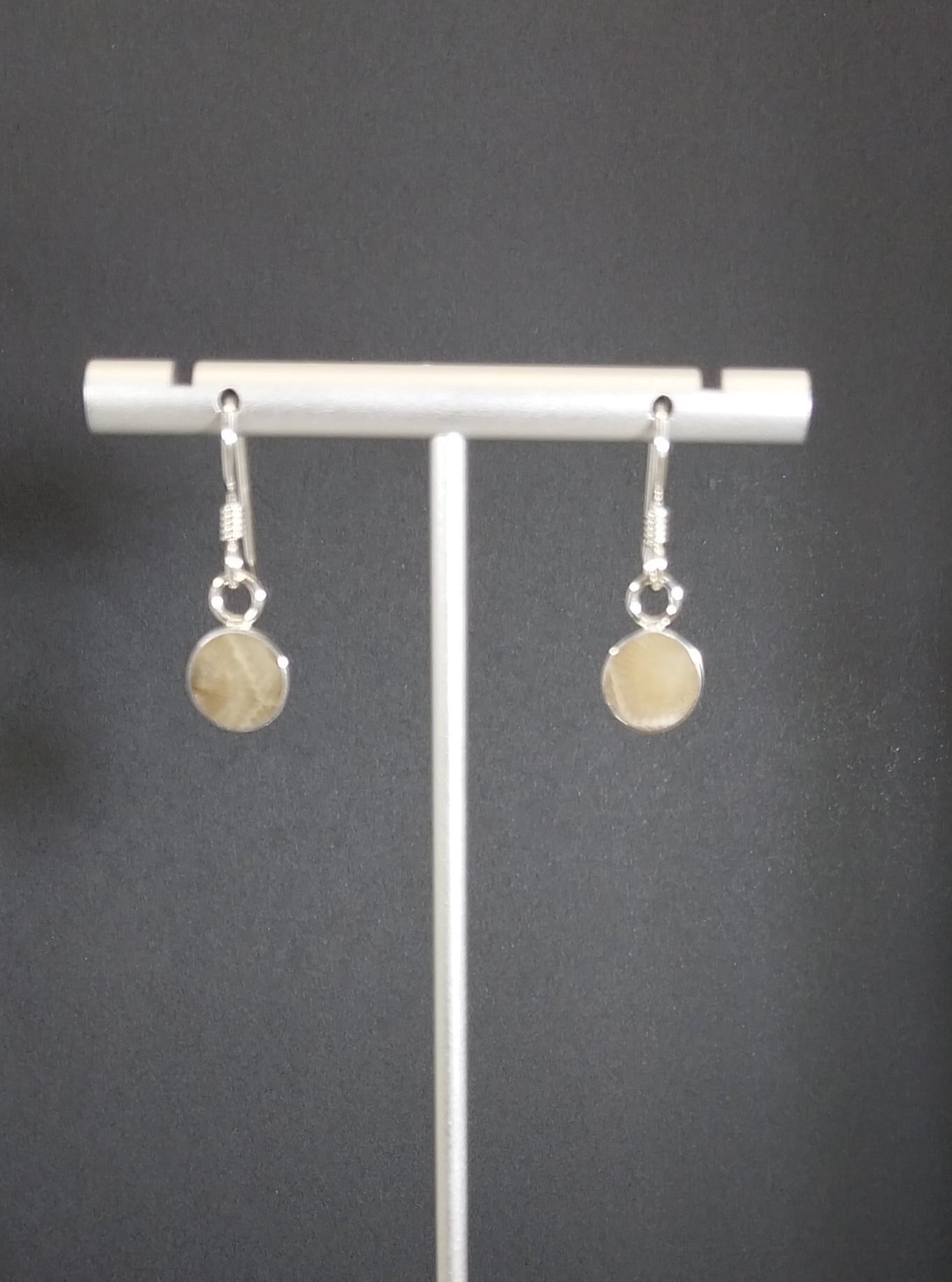 Petoskey Stone Earrings in Solid Silver