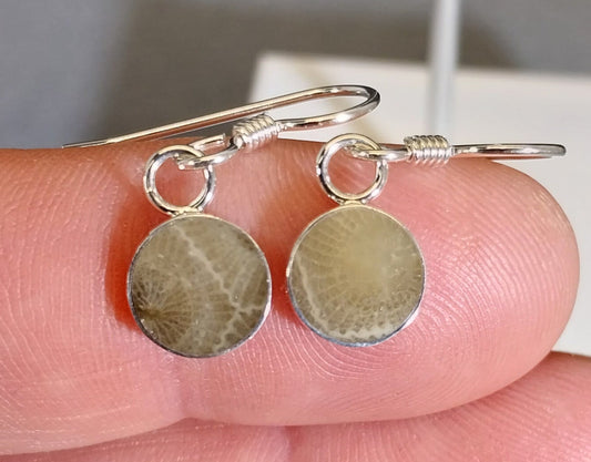 Petoskey Stone Earrings in Solid Silver