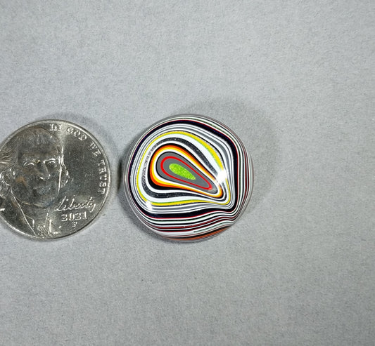 Large Round Fordite Cabochon with Good Height