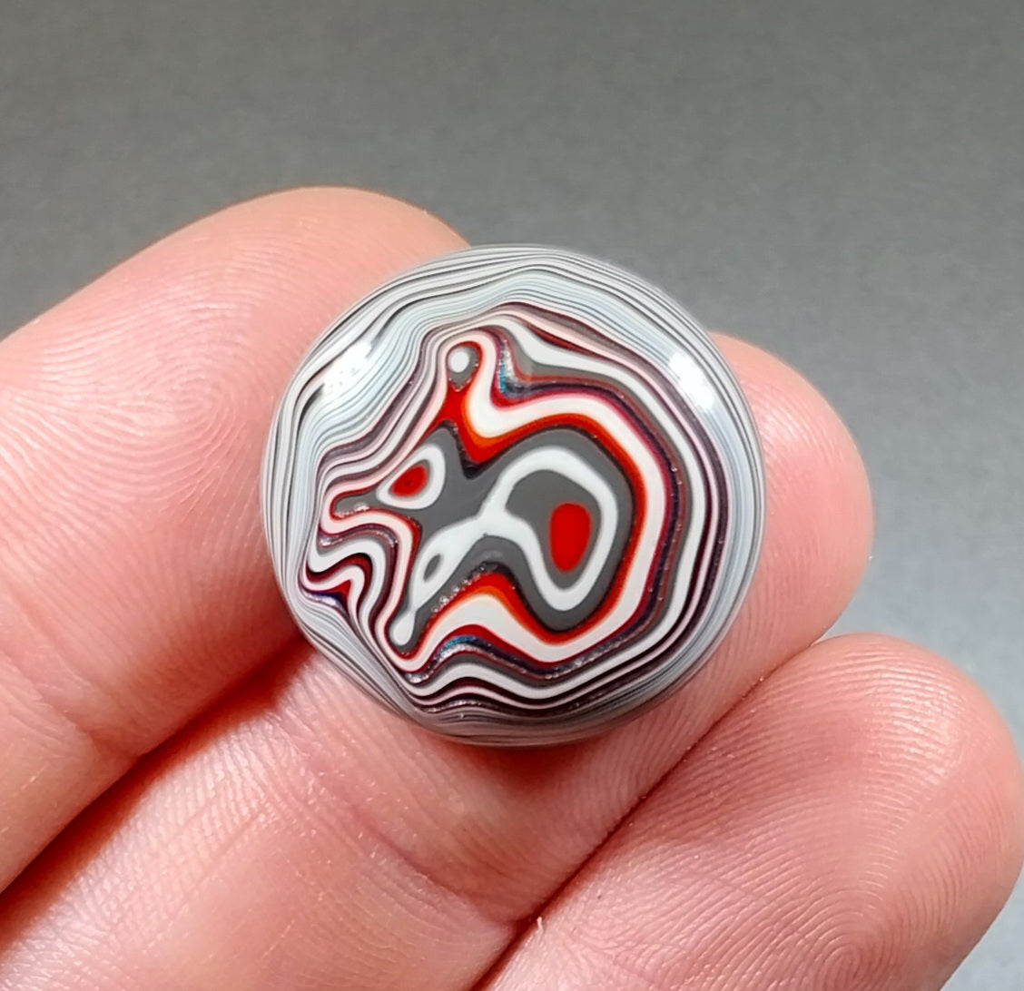 Fordite Cabochon, Domed Round