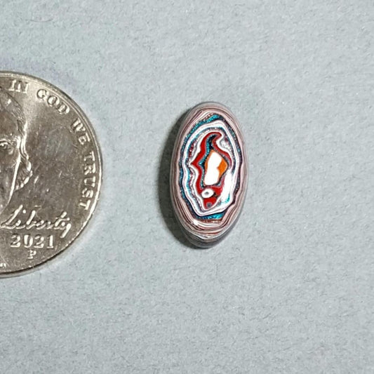 Fordite Cabochon Small Oval, EB108