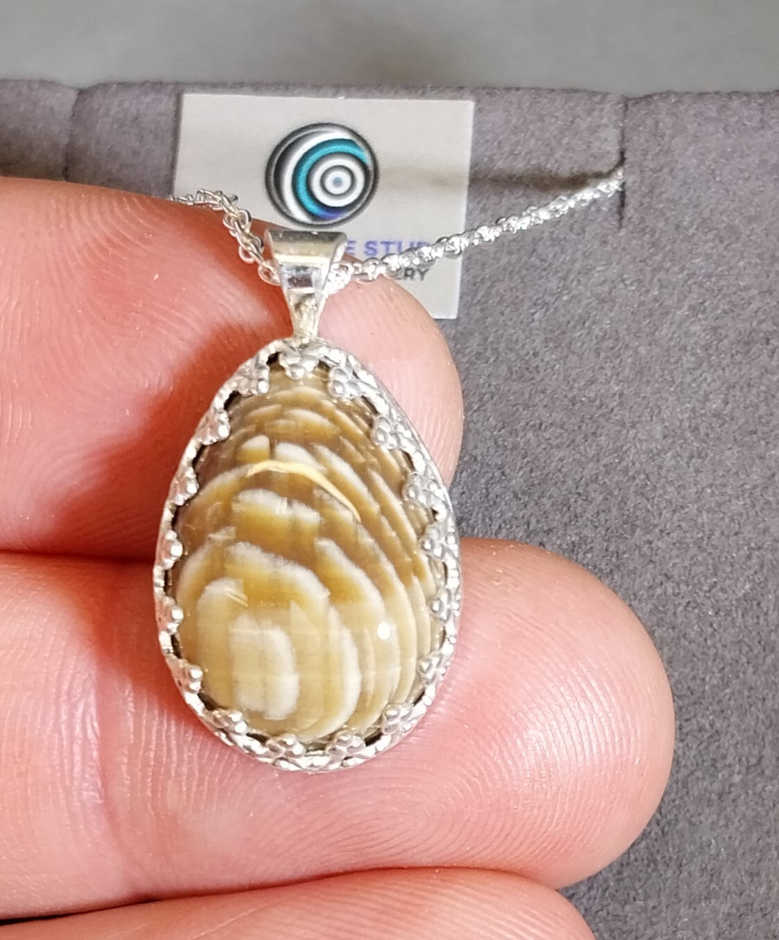 Petrified Wood Necklace Badger Pocket Sycamore in Solid Silver