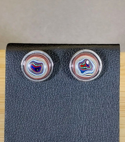 Fordite Earrings in Stainless Steel Ohio Motor Agate