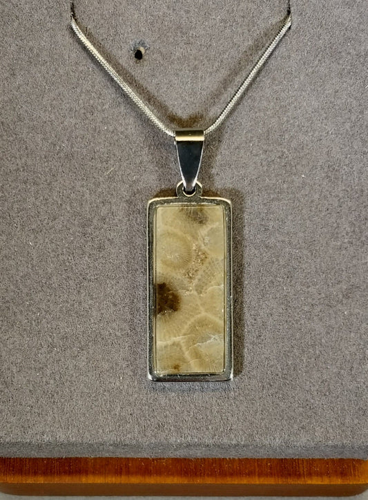 Petoskey Stone Necklace, with Stainless Steel Chain, Michigan Petoskey Stone W/O W226
