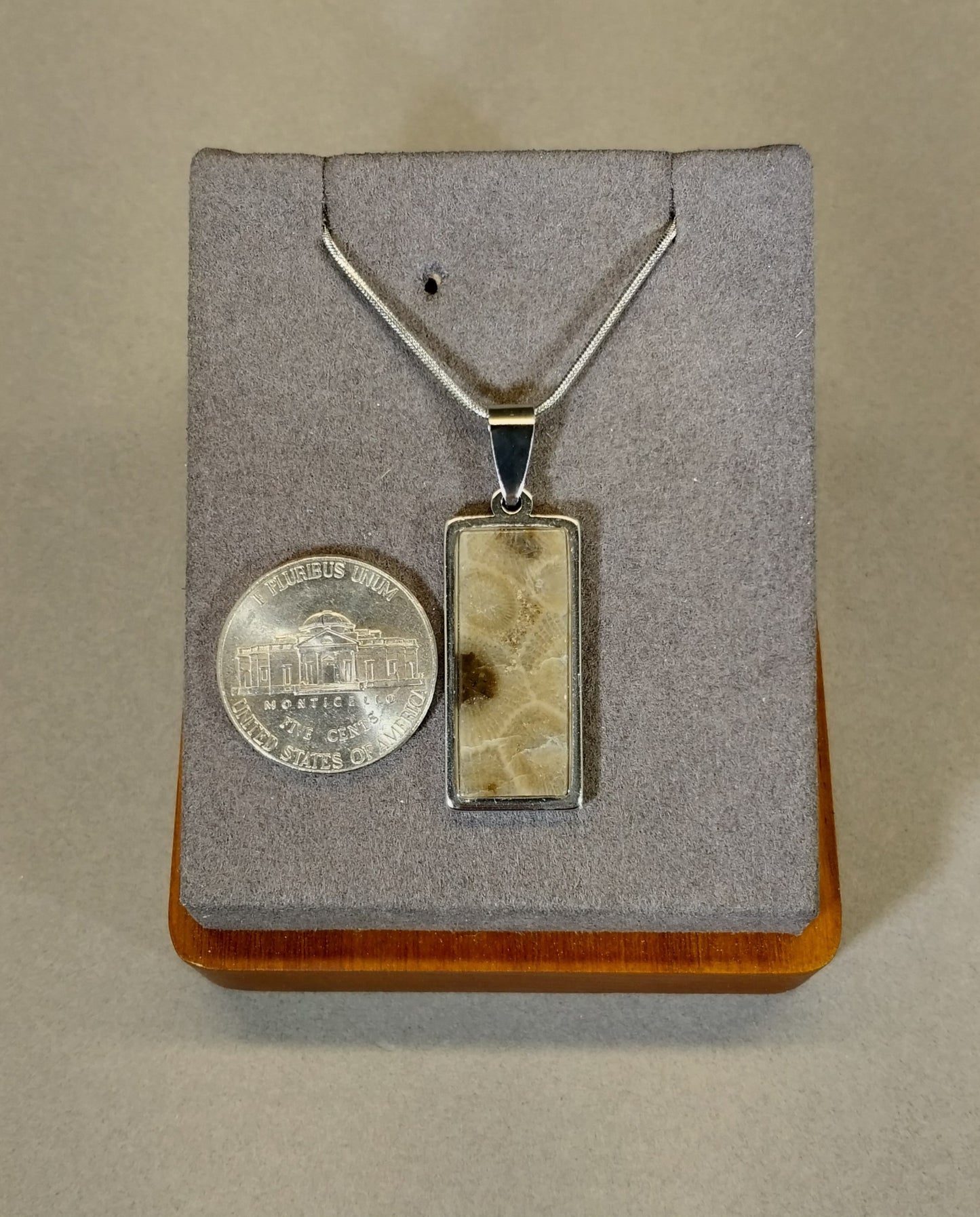 Petoskey Stone Necklace, with Stainless Steel Chain, Michigan Petoskey Stone W/O W226