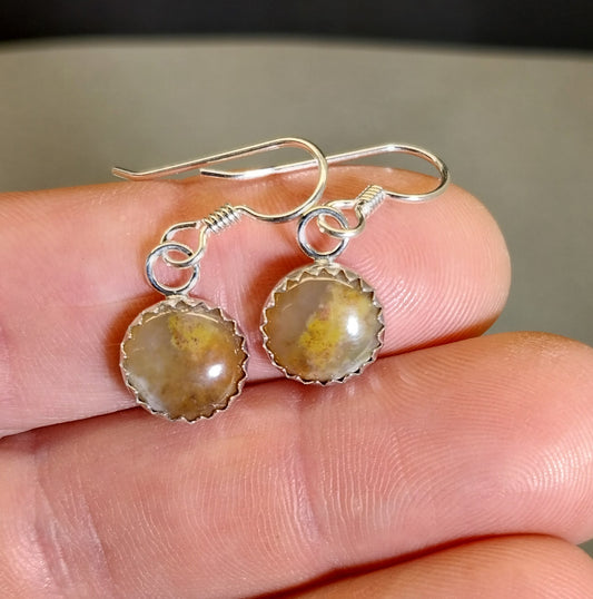 Coprolite Earrings, Solid Silver, USA Artist, Poop Agate, Fossil Poop, Great Gift Idea, Natural Stone