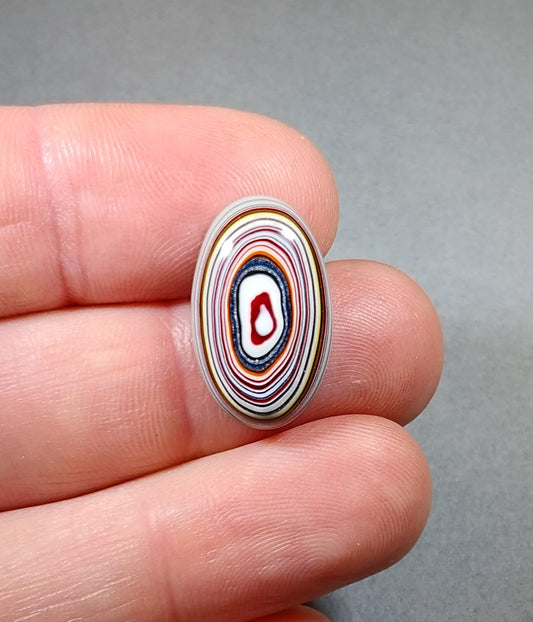 Fordite Cabochon, Tall Oval, For the Metalsmith, Polished Fordite, Fordite Gemstone