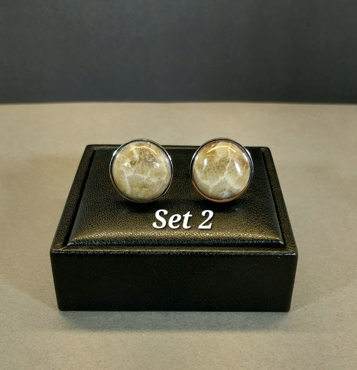 Petoskey Stone Cufflinks Mirrored Stainless Steel