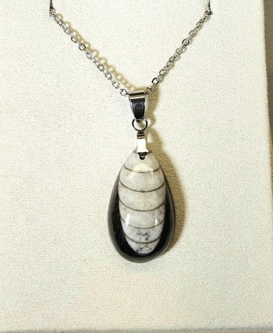 Orthoceras Fossil Necklace, Teardrop Fossil Pendant W/O W71