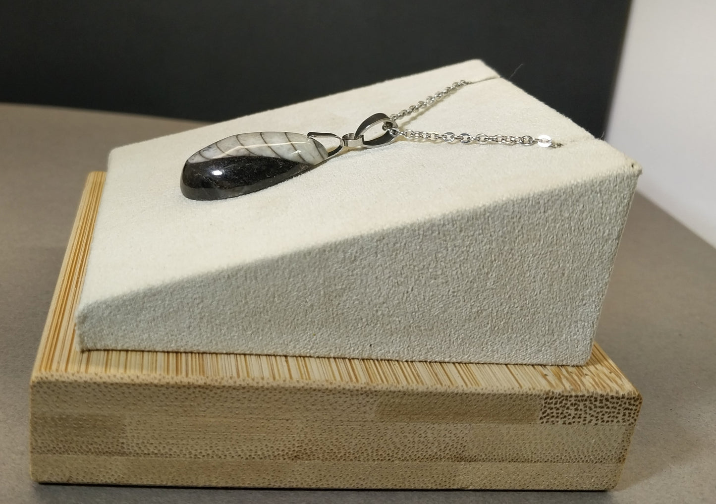 Orthoceras Fossil Necklace, Teardrop Fossil Pendant W/O W71