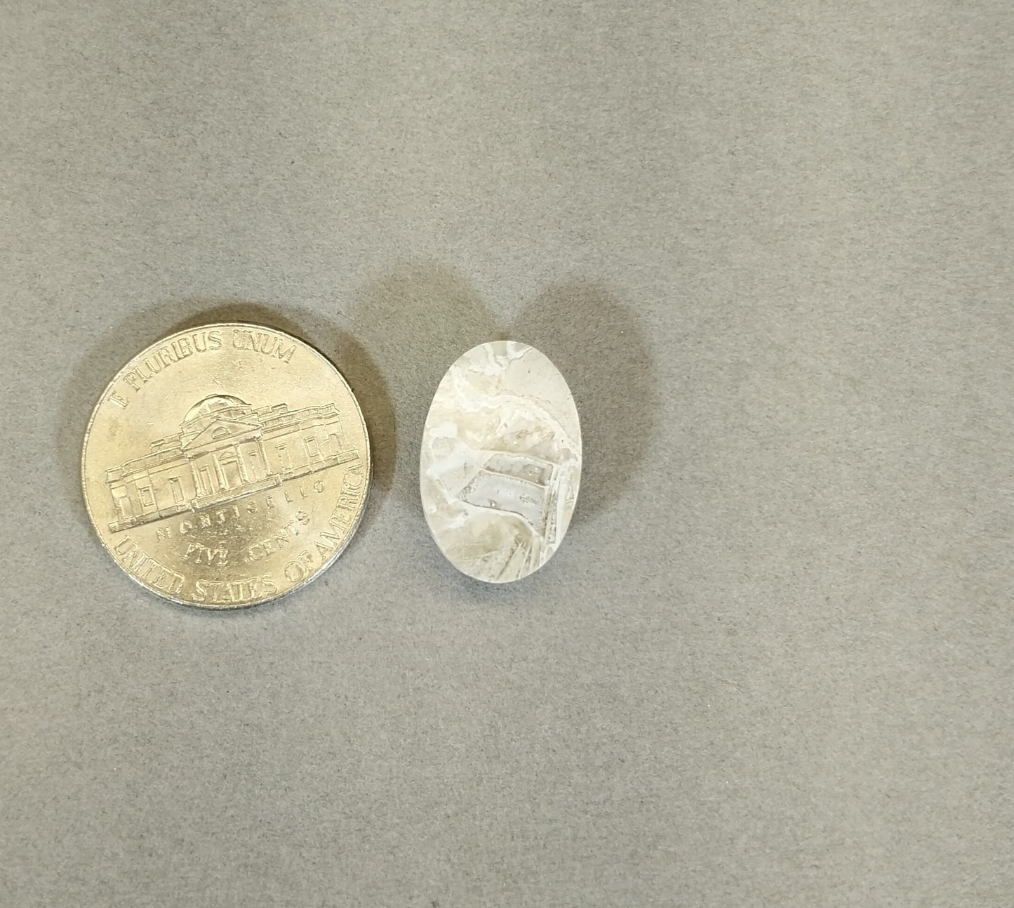 Lake Superior Horn Coral Cabochon, Ella's Collection, W/O