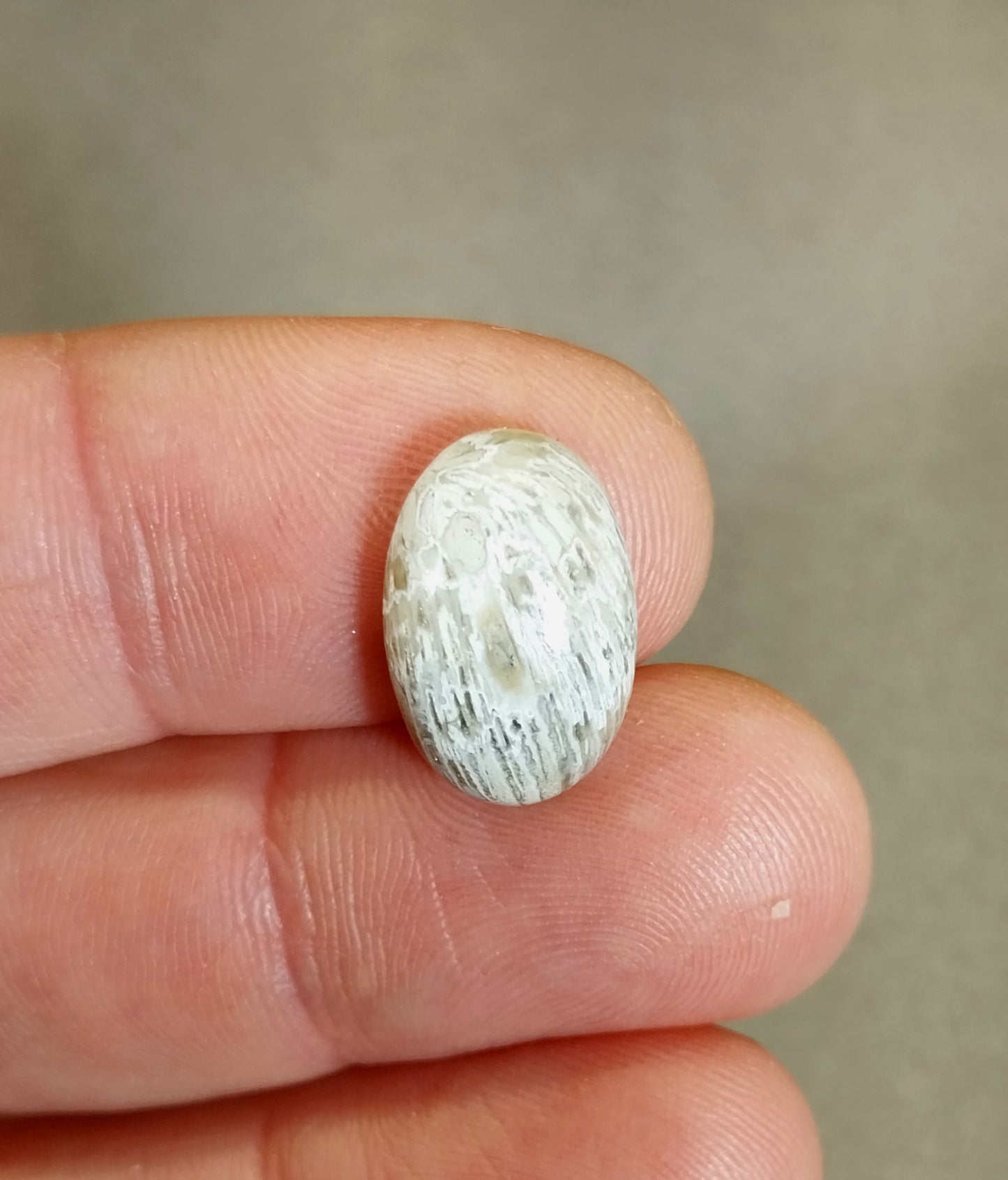 Lake Superior Horn Coral Cabochon, Ella's Collection, W/O