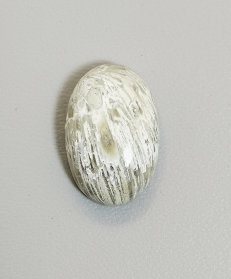 Lake Superior Horn Coral Cabochon, Ella's Collection, W/O