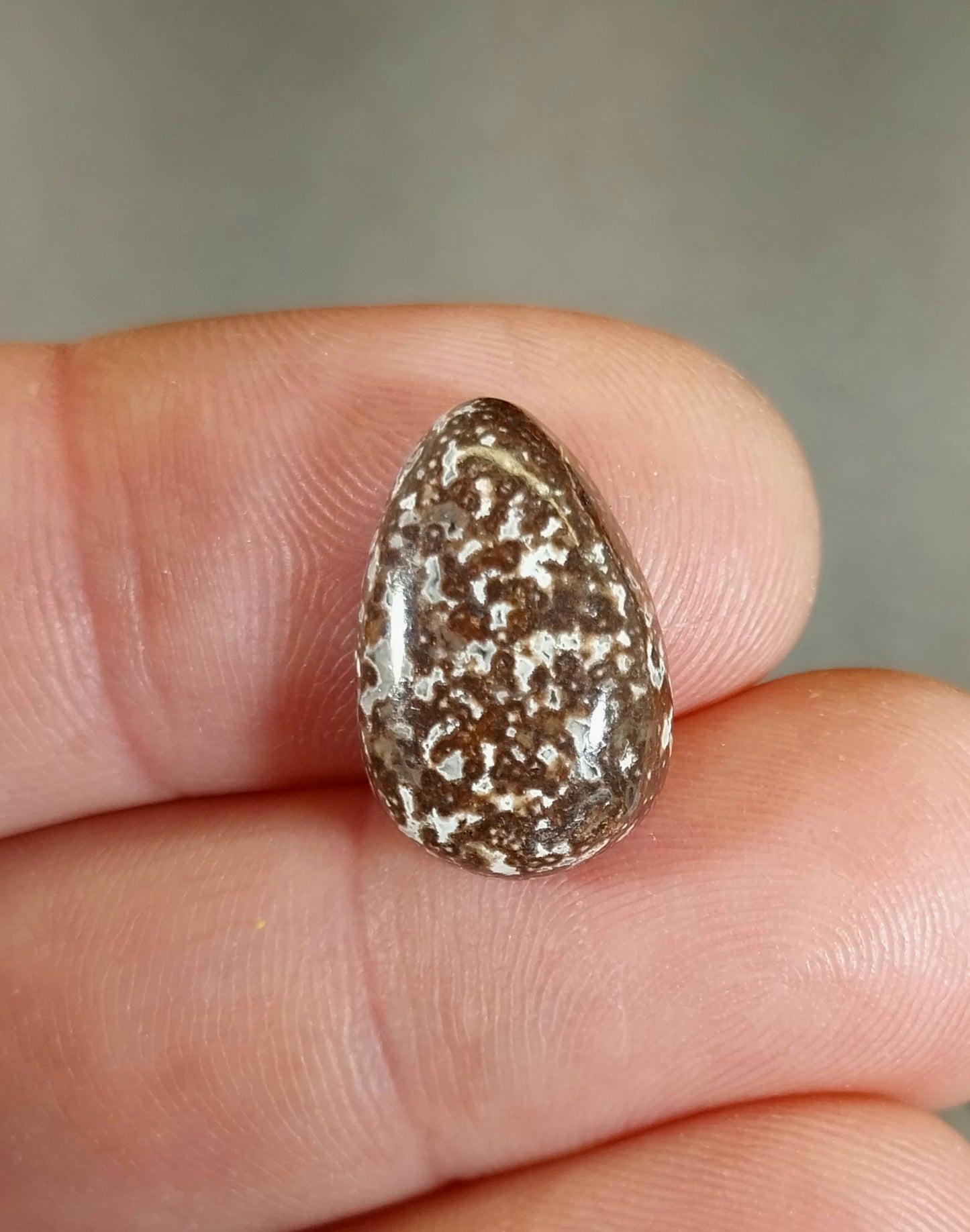 Mixed Lot Lake Superior Cabochons W/O