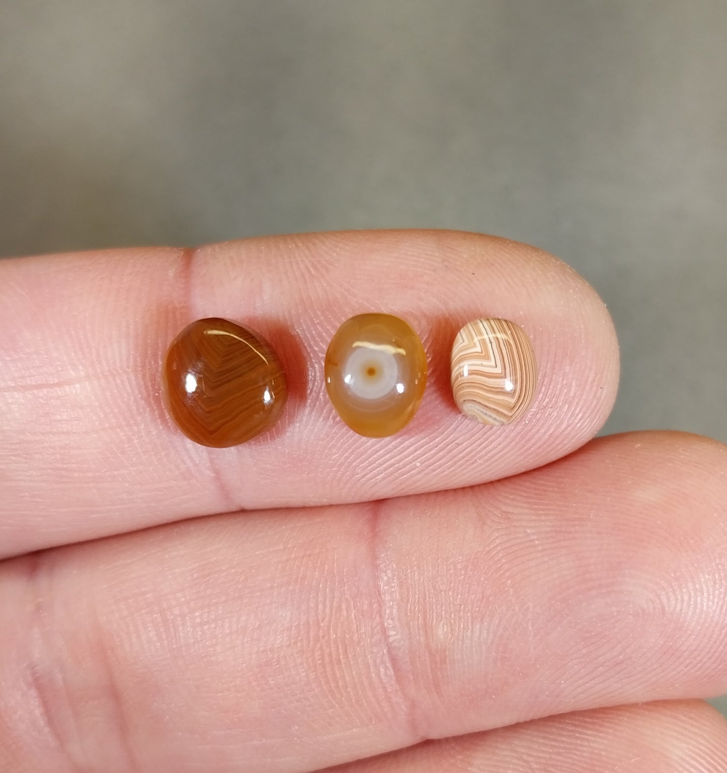 Mixed Lot TINY Lake Superior Agate Cabochons, Ella's Collection, W/O