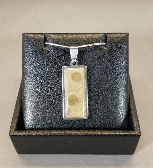 Petoskey Stone Necklace with Stainless Steel Chain, Michigan Petoskey EB32