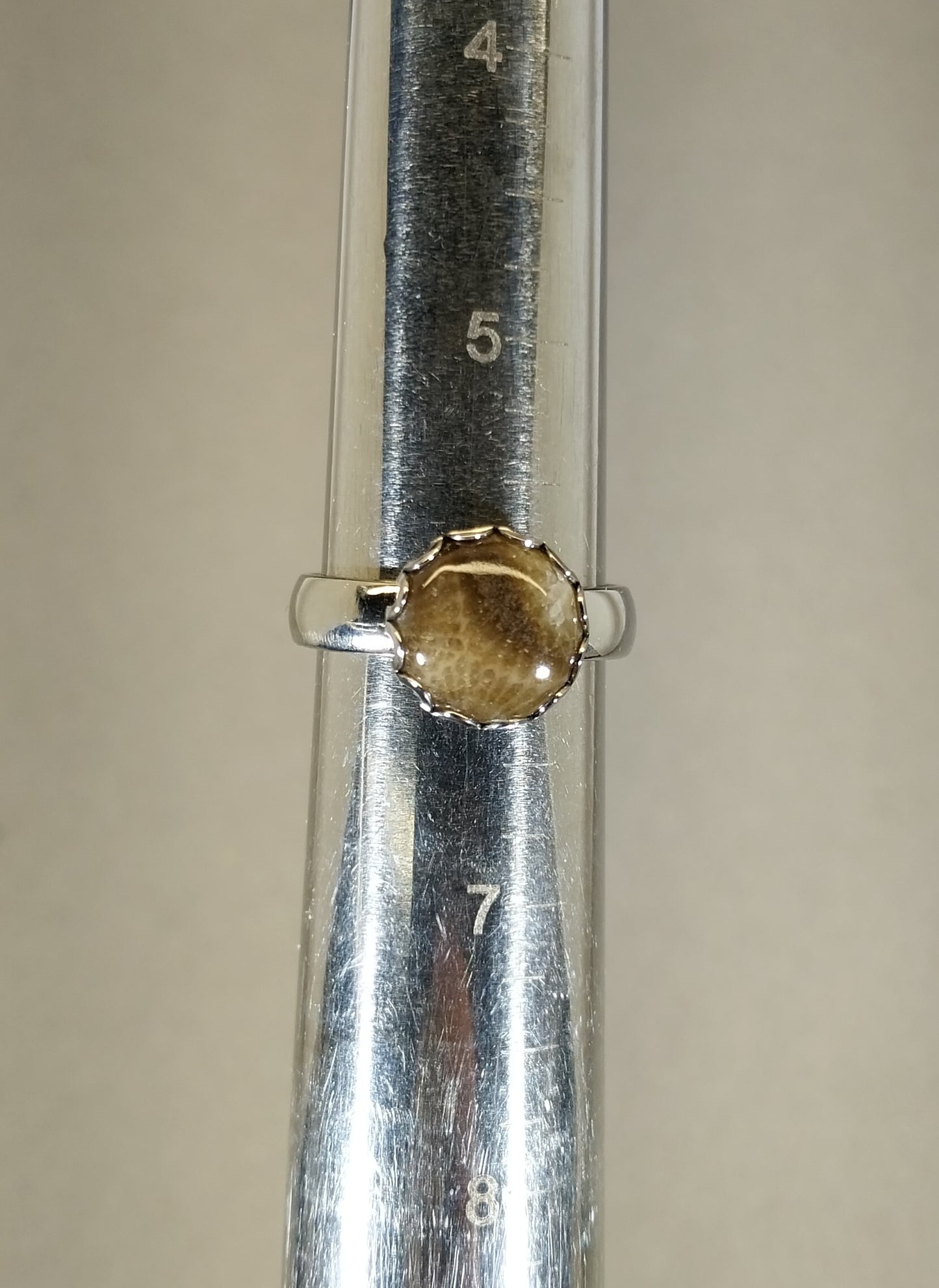 Petoskey Stone Rings in Stainless Steel, ET346