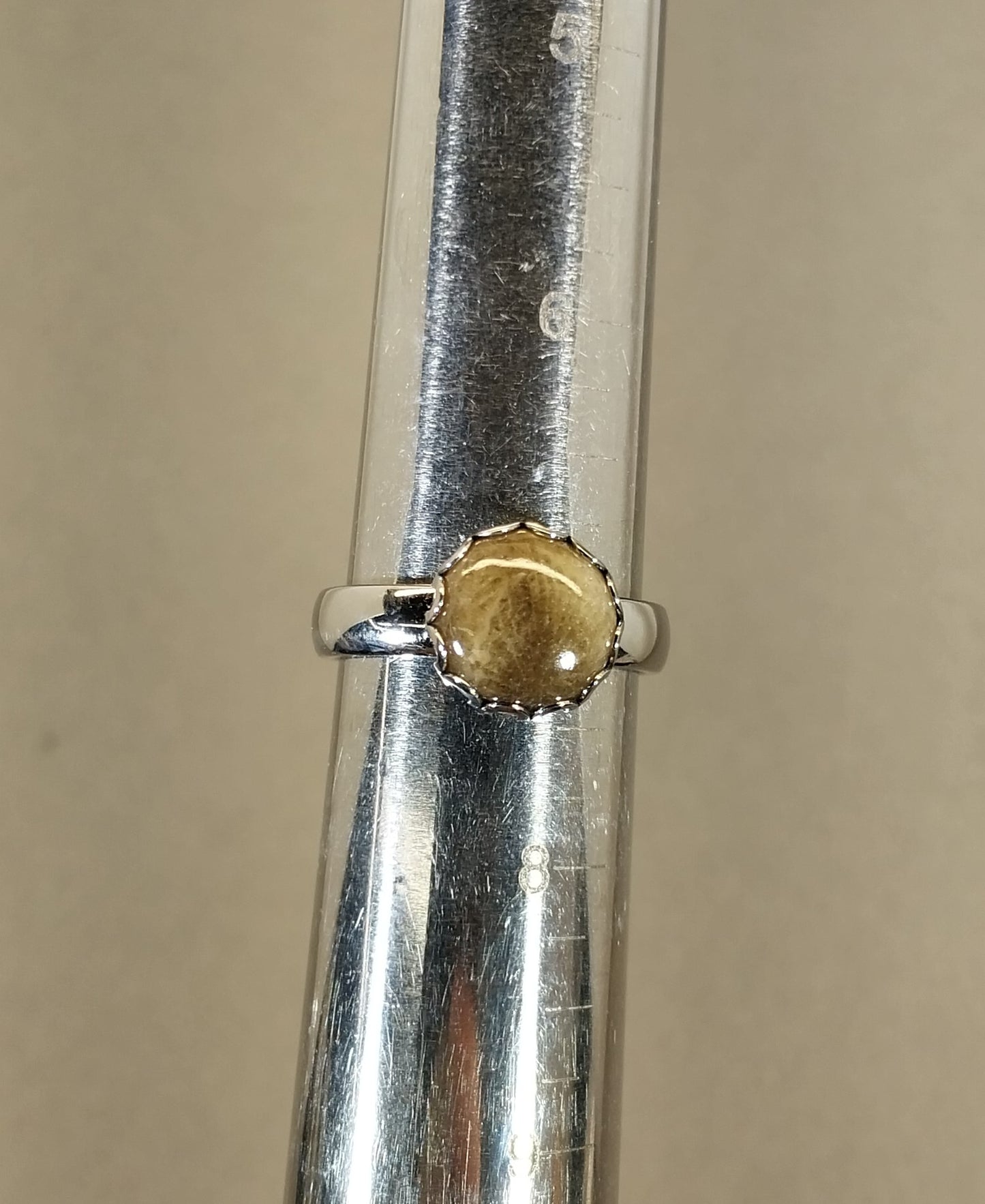 Petoskey Stone Rings in Stainless Steel, ET346