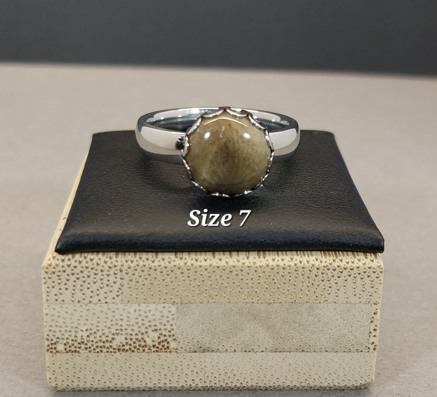 Petoskey Stone Rings in Stainless Steel, ET346