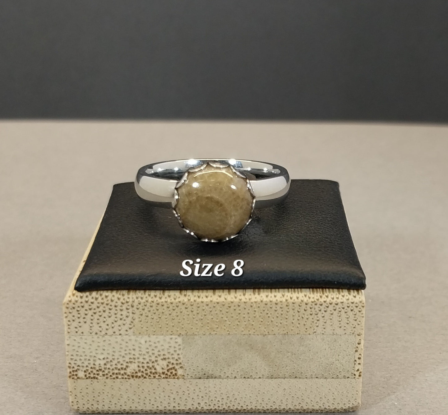 Petoskey Stone Rings in Stainless Steel, ET346