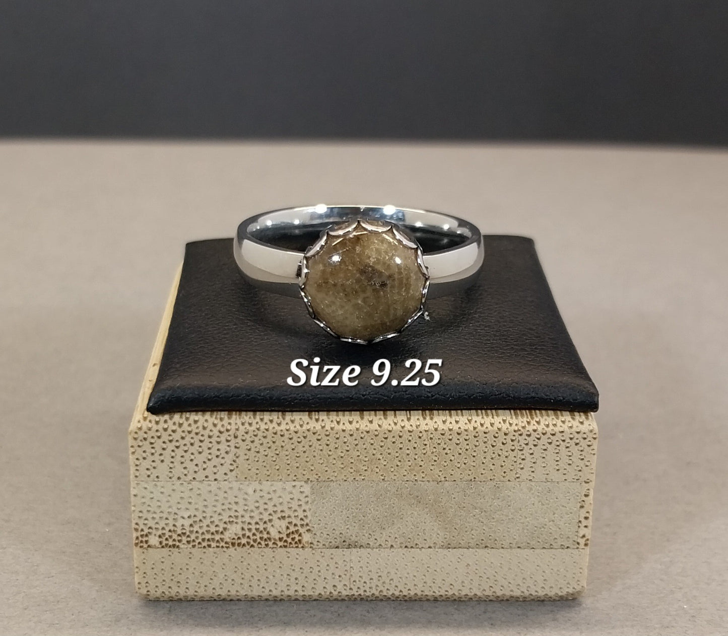 Petoskey Stone Rings in Stainless Steel, ET346